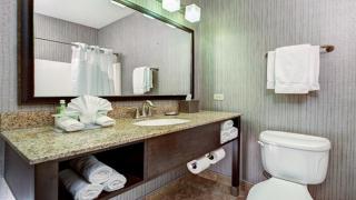 Holiday Inn Express & Suites Chicago-Deerfield Lincolnshire by IHG - Riverwoods - 3