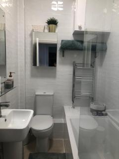 Central & Historic London Flat - Londra - 1