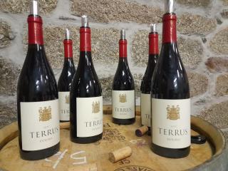 Linden Studio at Terrus Winery - Resende - 5