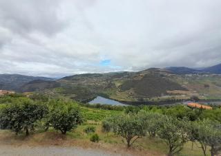 Linden Studio at Terrus Winery - Resende - 1
