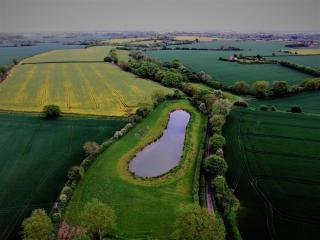 Fushia Chalet a lovely little rural retreat - 3