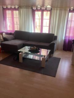 Como apartamento en el centro de st Gallen - St. Gallen - 0