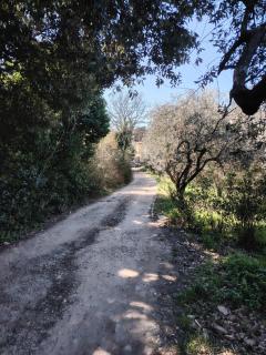 Giardinoterapeuticoinvilla - Florenz - 5