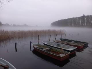 Schwandt-ein Bungalow mit Wasserblick, Ruderboot auf Anfrage - - 8