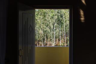 Moonlight Manor- Luxury Escape - Bangalore - 1