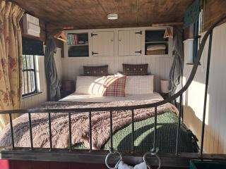 The Horsebox, unexpected luxury - 5