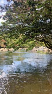 RíoBosque Cabañas de lujo frente al rio desayuno incluido san carlos antioquia - 6