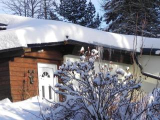 Ferienhaus in Kurort Oberwiesenthal mit Grill - 3