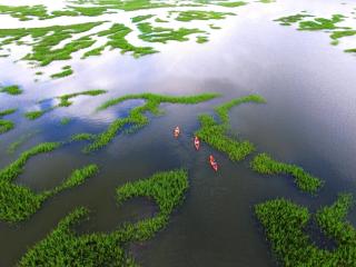494 Captain's Cove - Hilton Head Island - 1