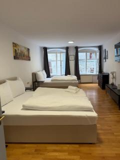 homy Downtown Elegance - Feldkirch - 9