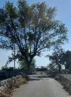 Masseria Ai Pioppi - 8