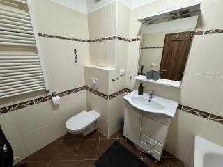 Apartmán Železná Ruda - Železná Ruda - 8