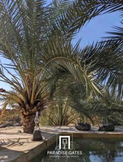 Paradise Gates Siwa - Siwa - 1