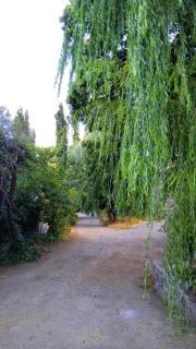 Casa de Montaña - 3