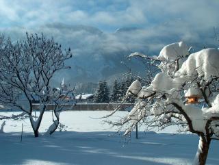 Haus Puntigam - Bad Goisern - 2