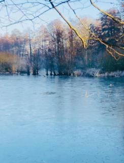NEW Lake bungalow with fireplace and hot tub - Krefeld - 5