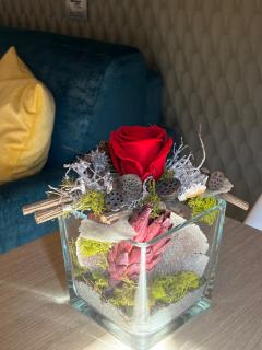 Flo Liberta’ Suite Wood - Florenz - 5