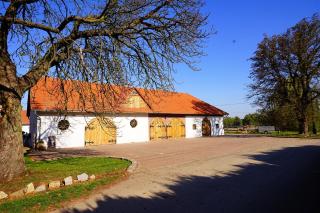 Gościniec Borki Wielkie - Borki-Wielkie - 9