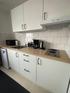 Apartment Astera Sisak - Sisak - 2