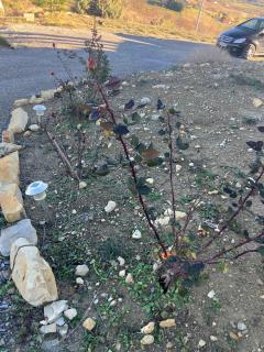 Ardèche Sud villa vue panoramique - 7