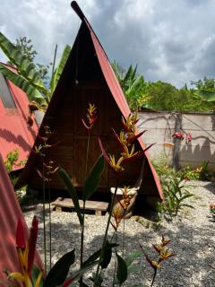 Ballena Oasis Homes & Glamping - Uvita - 6