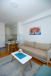 Riverside Charm Apartment - Skopje - 9