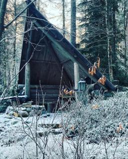 Villa Miilu Iso-Syöte hirsimökki järven rannalla - Pudasjärvi - 8