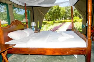 Giraffe Hills Mara Camp - - 3