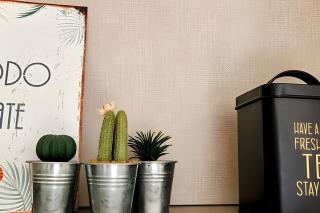 Mono Bruno, Centro de Cipo by AC - 3