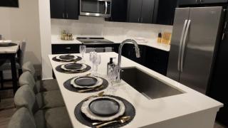 Gray Luxe at NRG - Houston - 8