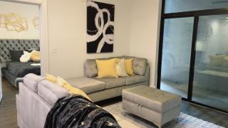 Gray Luxe at NRG - Houston - 1