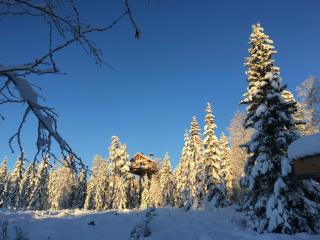 Faråsen Luxury Treetop Cabin - Sleep Among the Trees - Ringsaker - 0