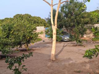 RASTA'S Village Garden - 8