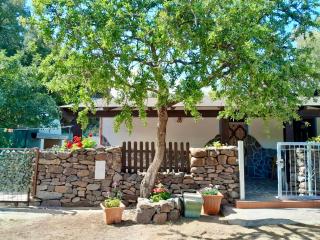 Casa Osala - Dorgali - 3