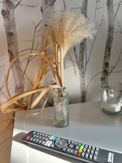 Wieck - Ferienwohnung EVA & HANSI by Restaurant WIESENAU - Wieck - 9