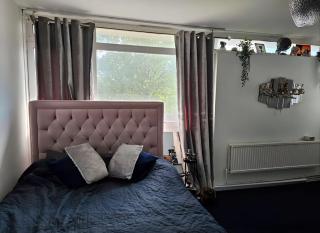 Double room in shared apartment with great transport links to central london - Londra - 4