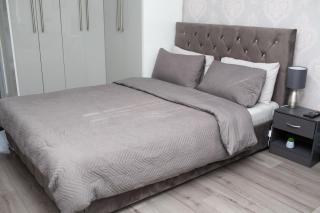 The Grey Mansion - 9