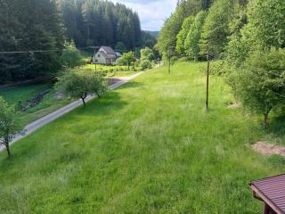 This is only meadow - - 2