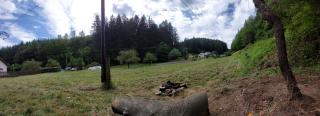This is only meadow - - 1