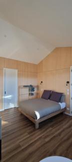 One Bed attached studio - Wanaka - 5