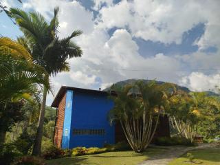 Jardín Utopía - Jardin - 8
