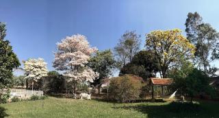 Casa Tijolinho Rancho Ouro Verde - Rolândia - 2