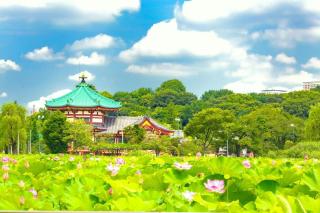 新上野202 站步行7分钟稻成町站2分钟 - Tokyo - 5