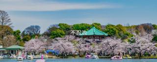 新上野202 站步行7分钟稻成町站2分钟 - Tokyo - 7