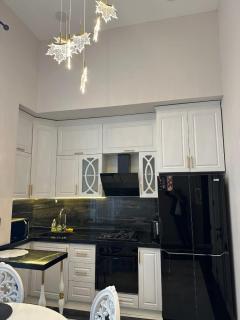 Lux incomparable apartment - Baku - 4