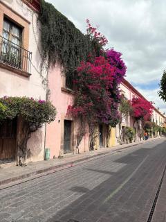 Casa Bugambilia - Querétaro - 0