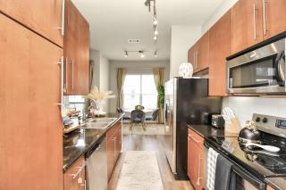 The Blush Haus* Pool View* NRG* TX Med Center - 7