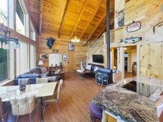 Modern Family Cabin with Deck, BBQ, Views and Playroom - Duck Creek Village - 2