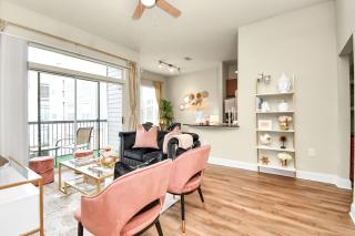 The Blush Haus* Pool View* NRG* TX Med Center - 2