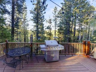 Modern Family Cabin with Deck, BBQ, Views and Playroom - Duck Creek Village - 4